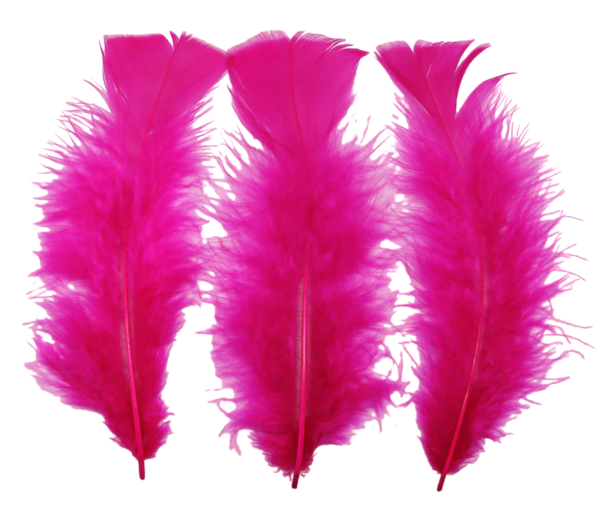 6 Hot Pink Feathers