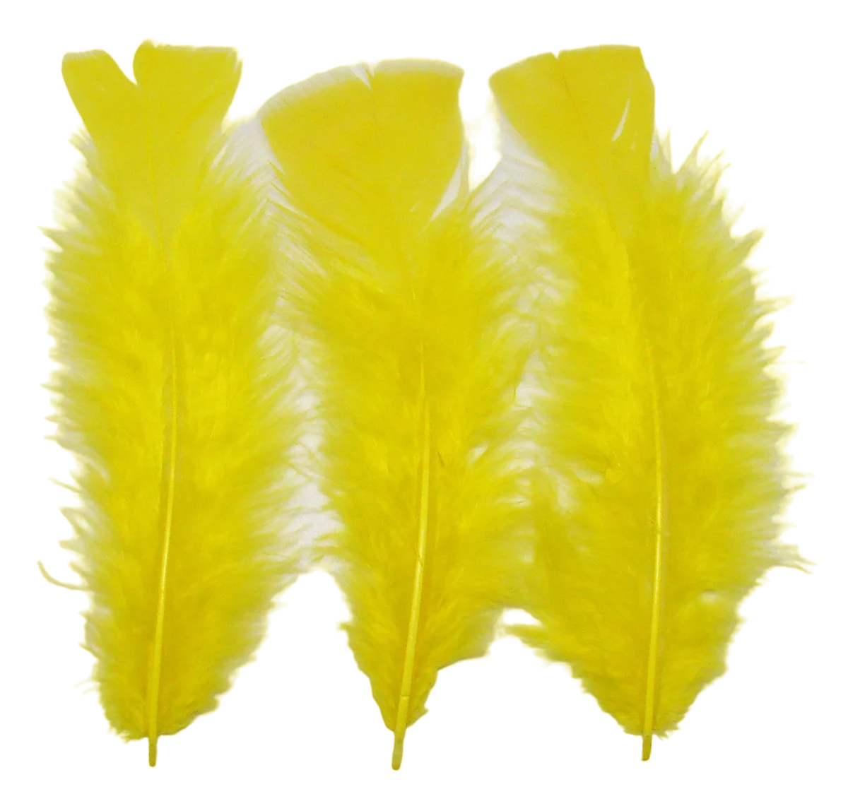 Lot of 12 real yellow feathers on spike, Length of feathers 12cm