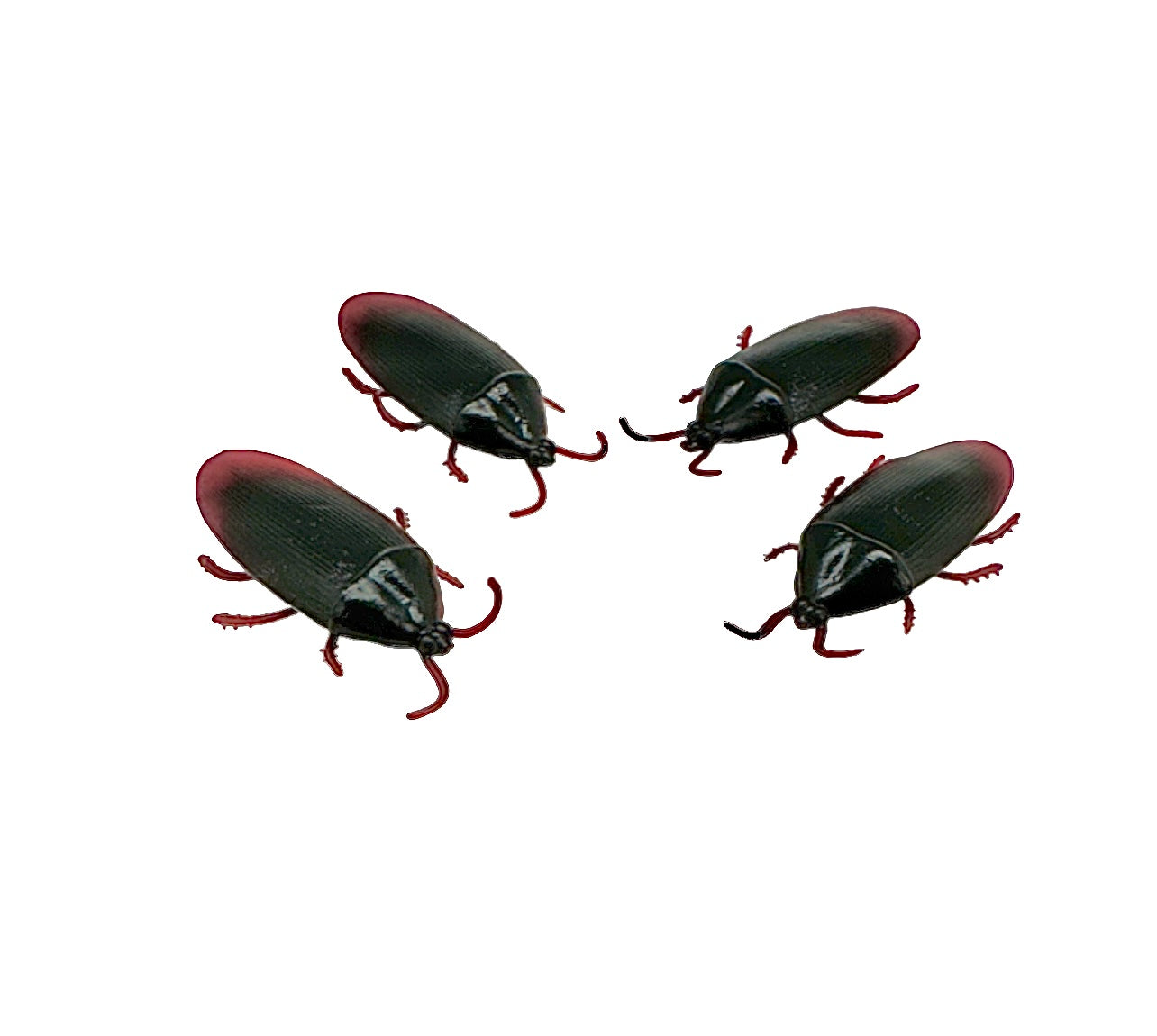1.5" Roaches 1 dz