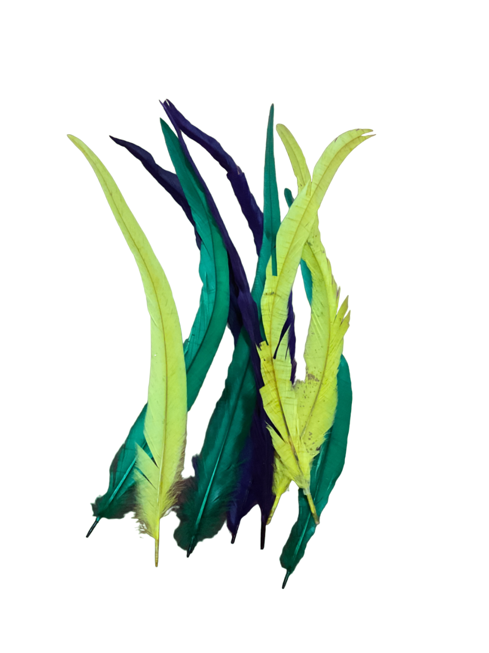 15”-16” Purple, Green & Gold Turkey Feather 9 Piece