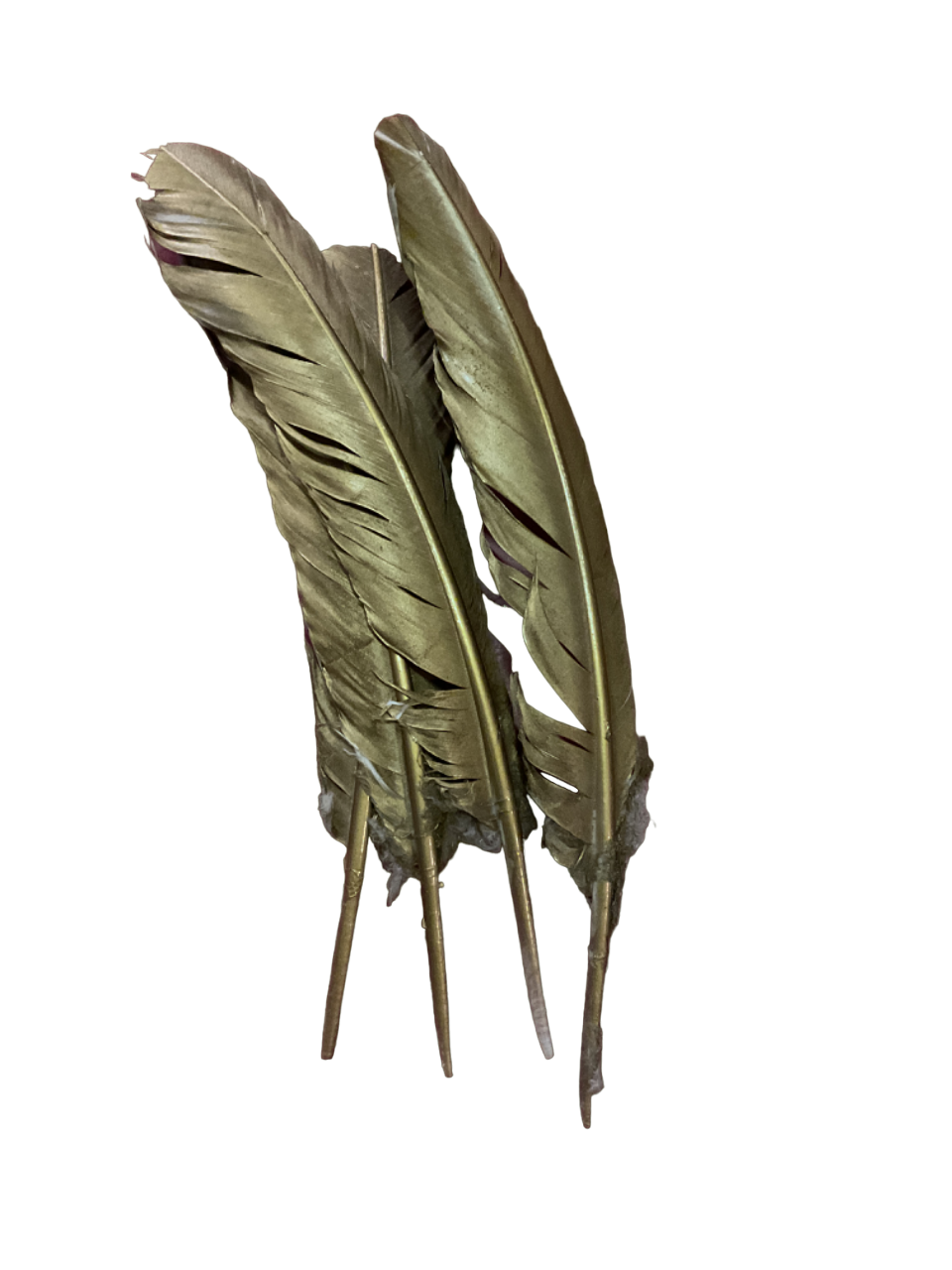 10” Gold Turkey Feather 10 Piece