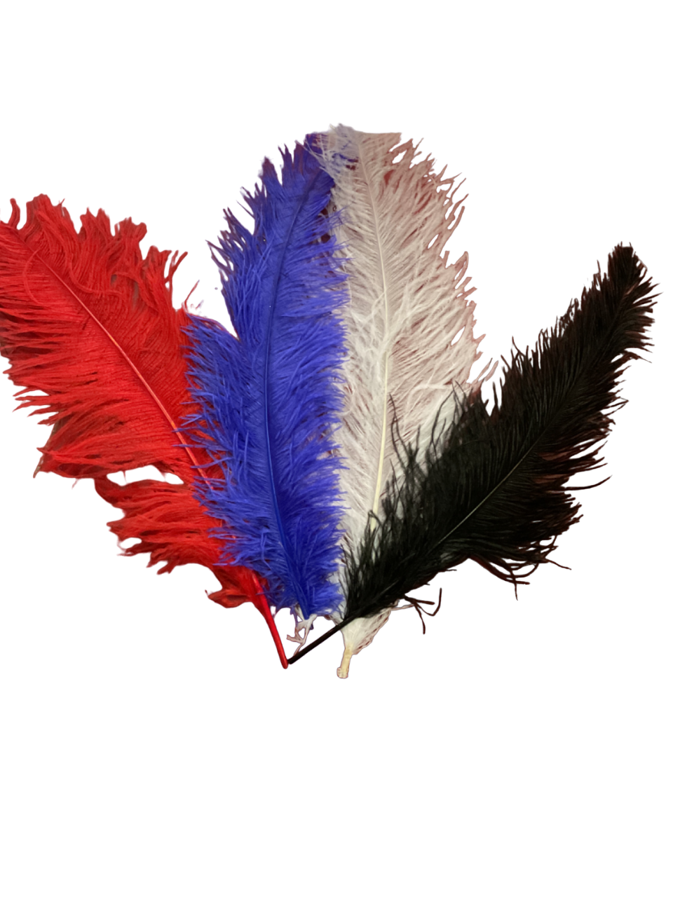 60cm Ostrich Feather