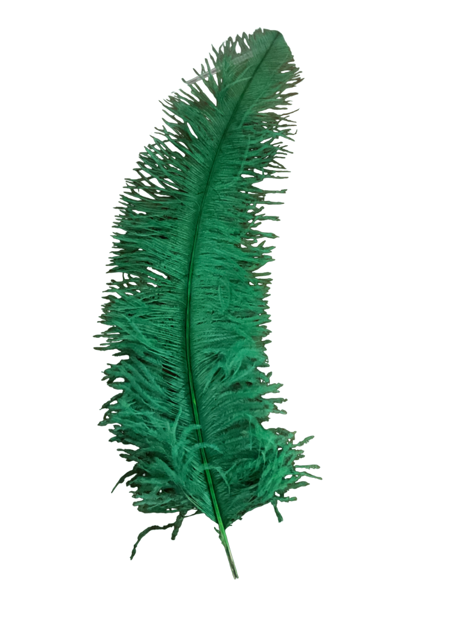 60cm Purple, Green & Gold Ostrich Feather