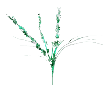 Shamrock Onion Grass