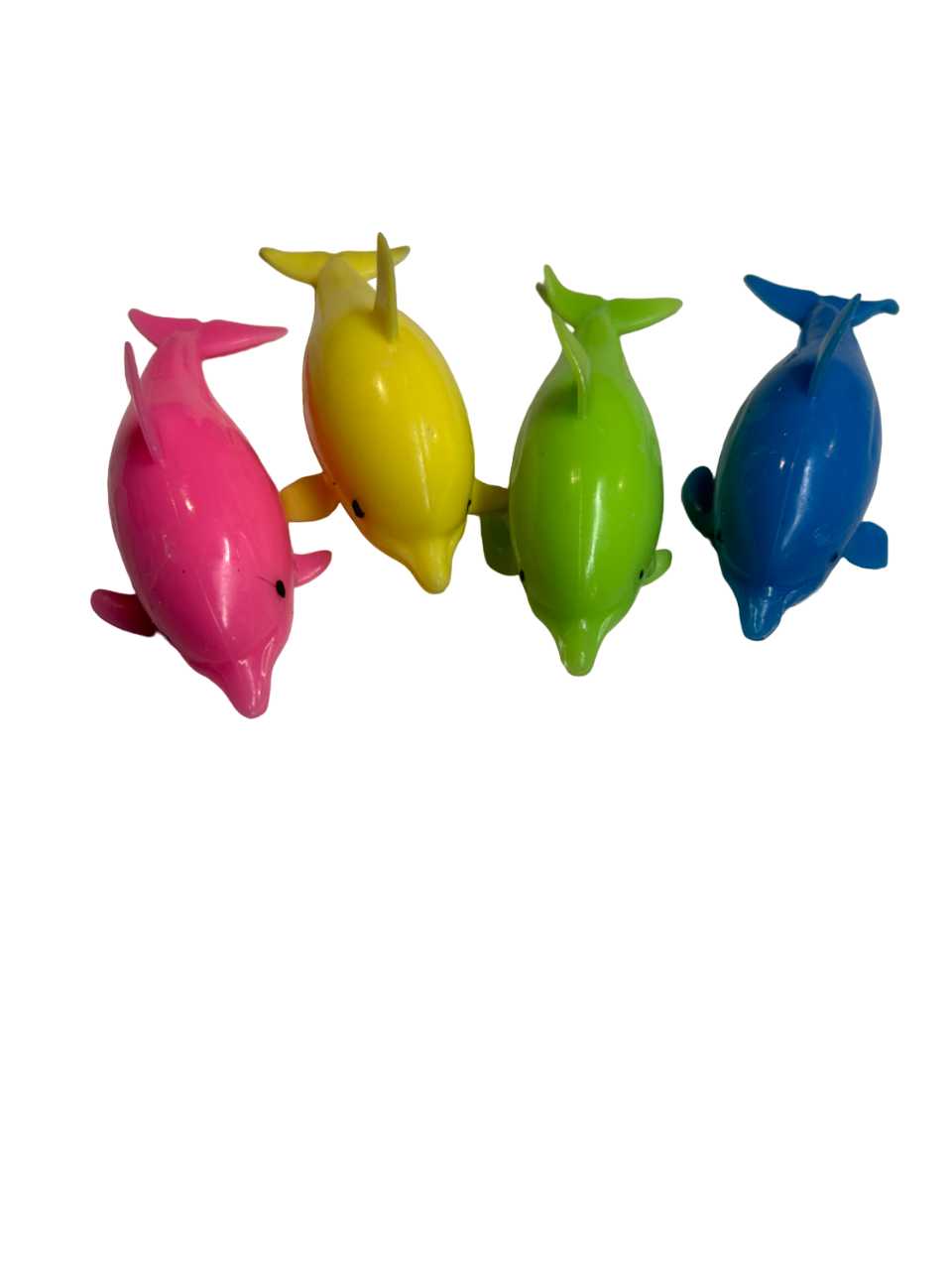 Assorted Dolphin Squish 2 dz