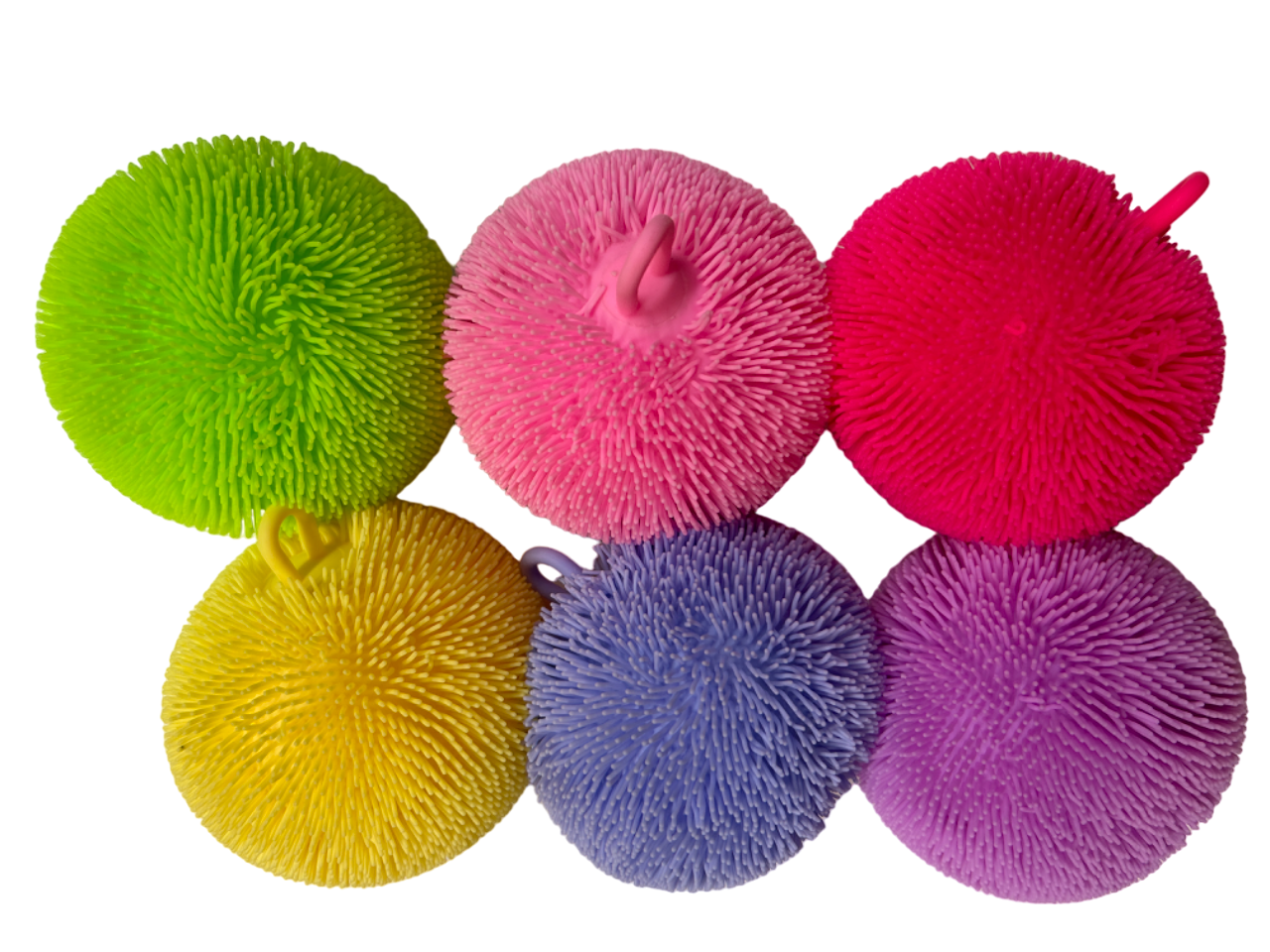 5" LU Assorted Urchin Squish 6pc