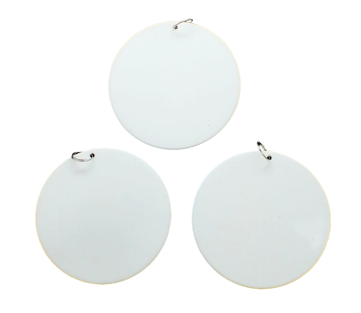 3" Disc with O Ring 5dz