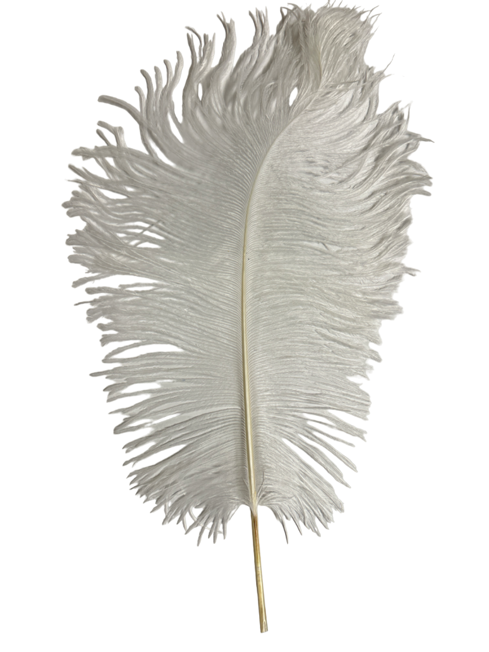 15" White Feather Plume