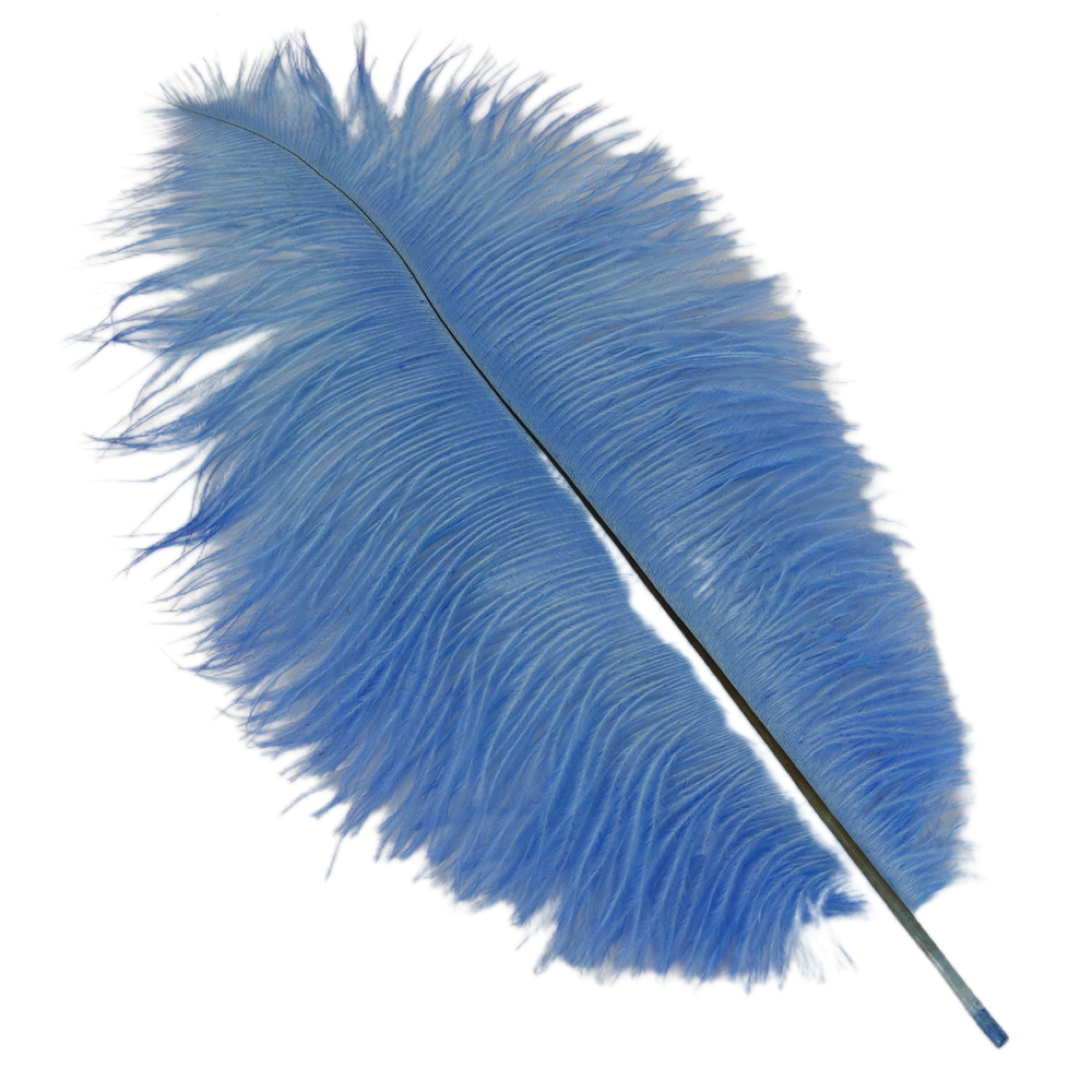 15" Blue Feather Plum