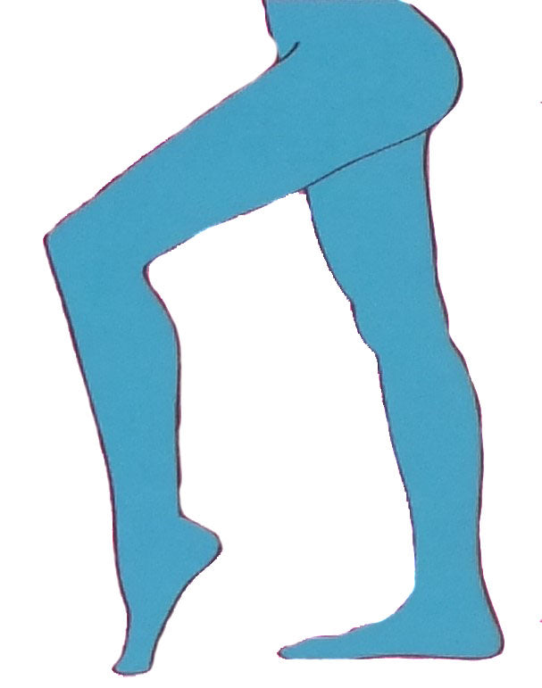 Pantyhose - ASST Colors