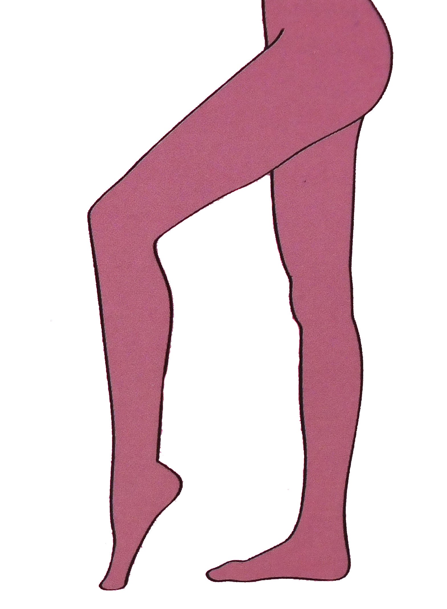 Pantyhose - ASST Colors