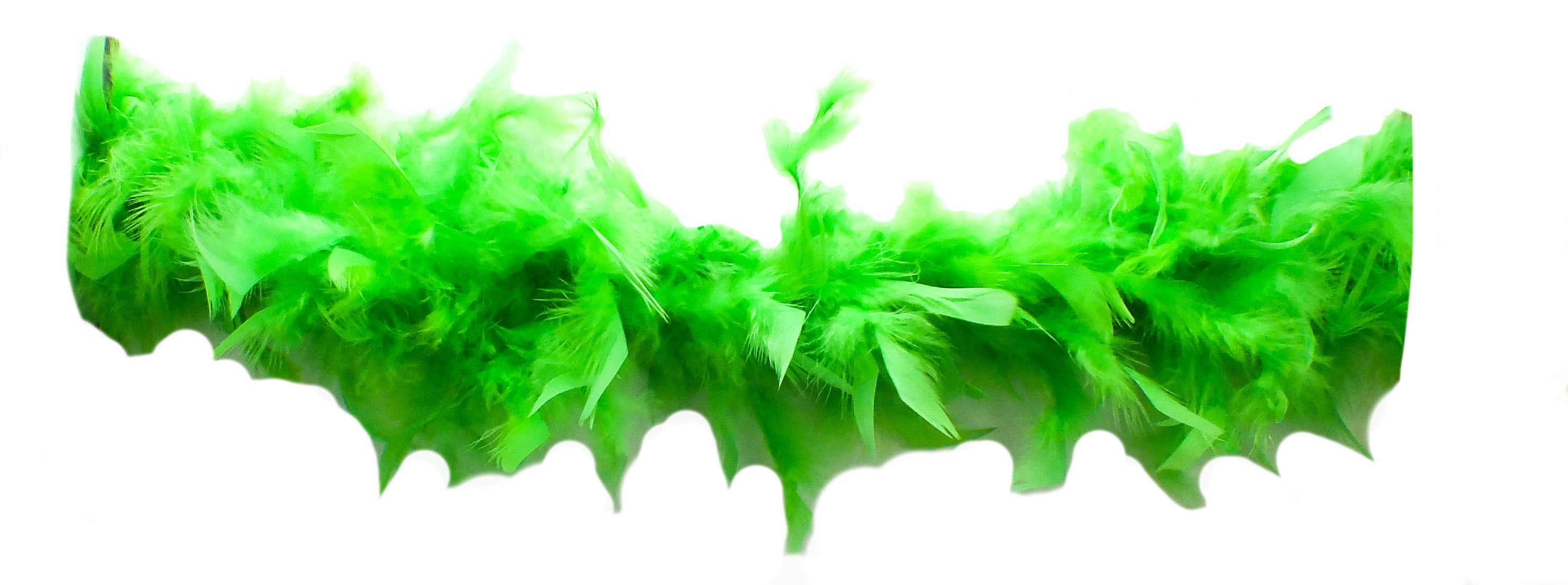 Green Scarf & Green Feather Boa-Lot of 2-St Patricks-Mardi Gras