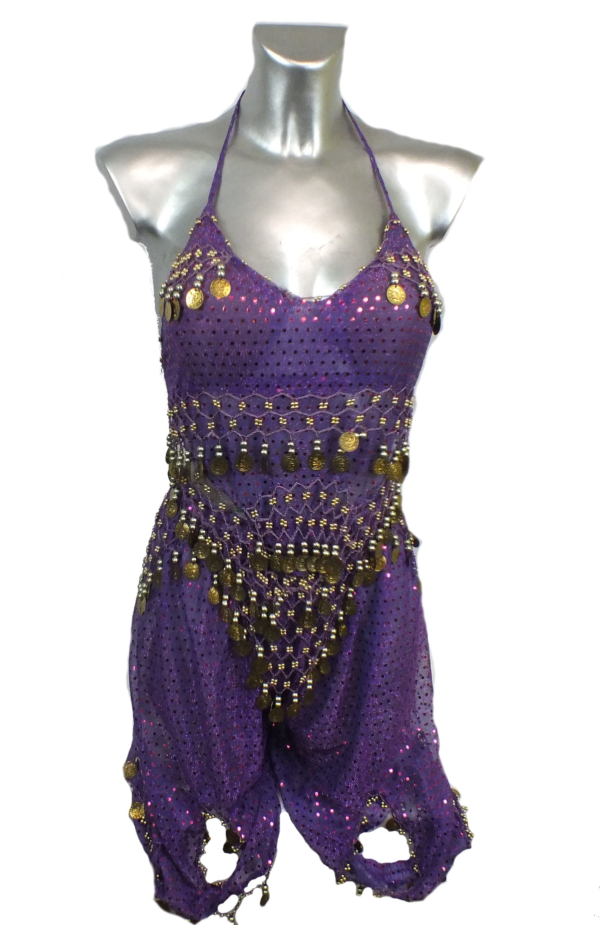2 pc Belly Dancing Outfit Purple