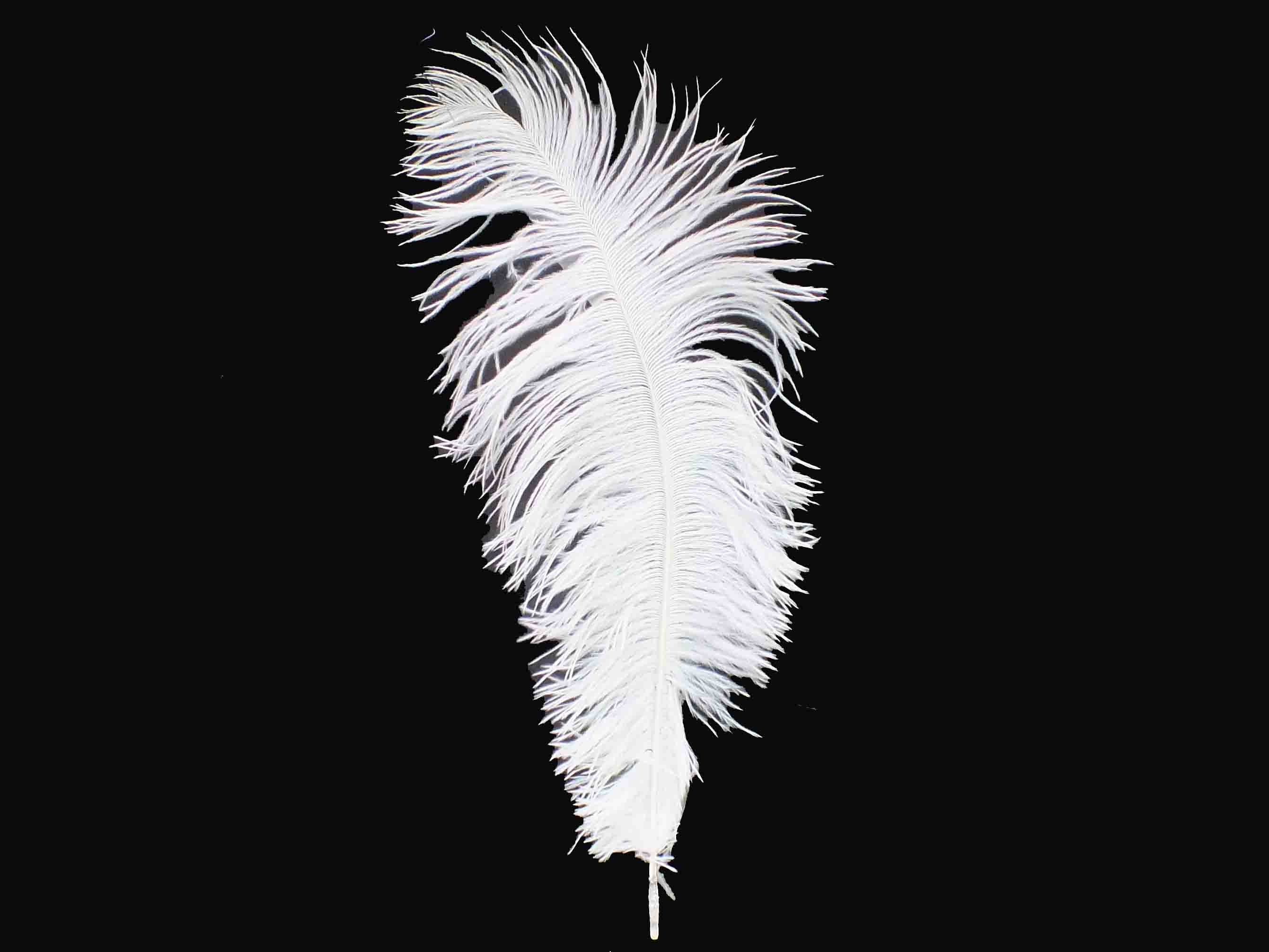 15" White Feather Plume