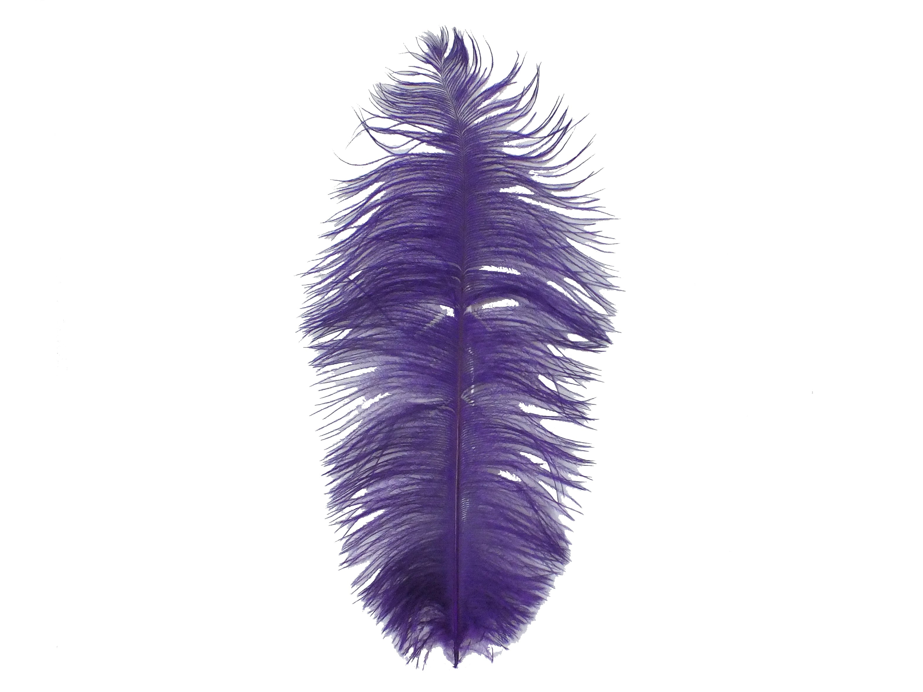 15 Purple Feather Plume Mardi Gras Decoration Accessory