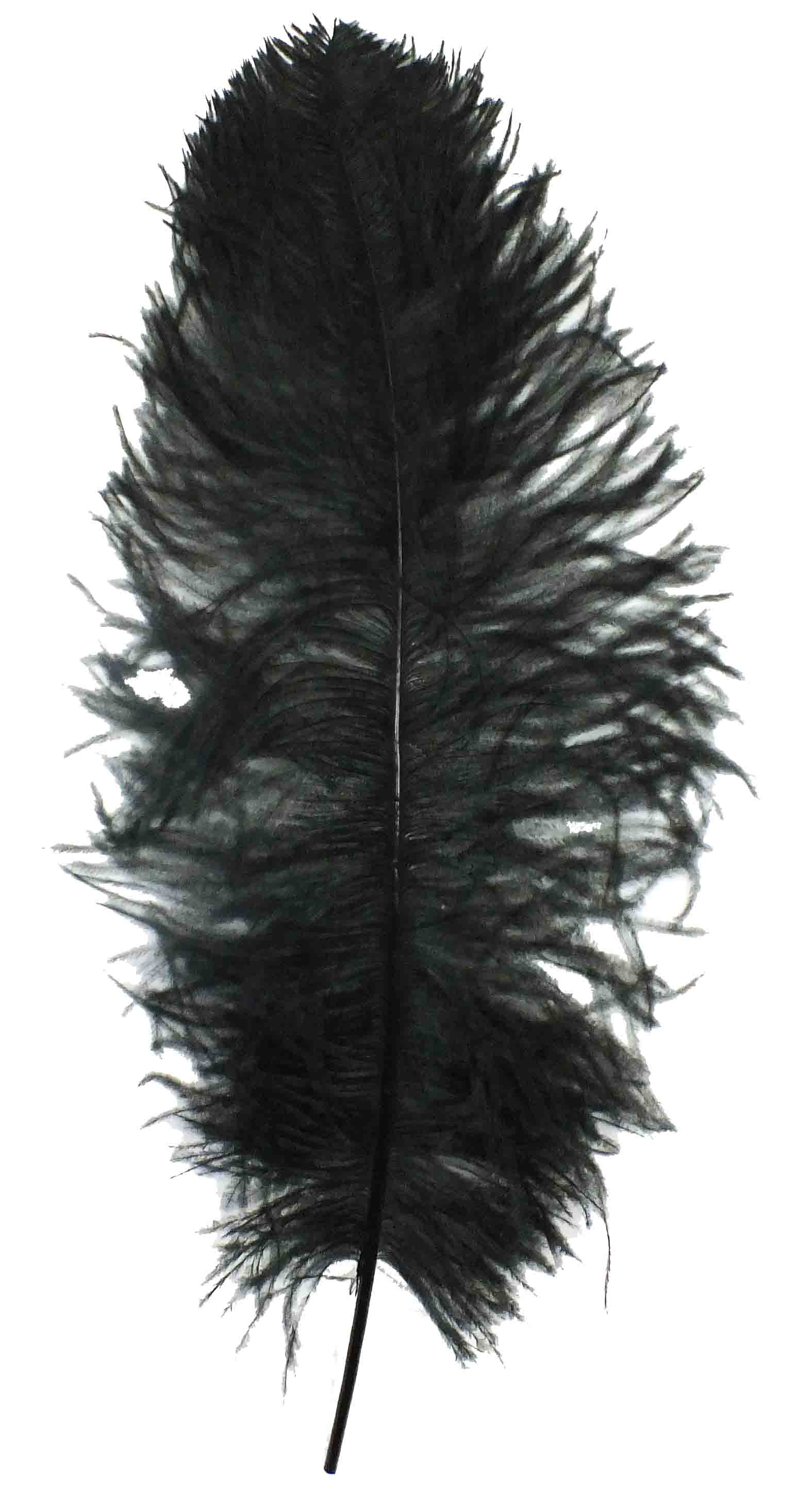 60-65cm Turkey Feathers