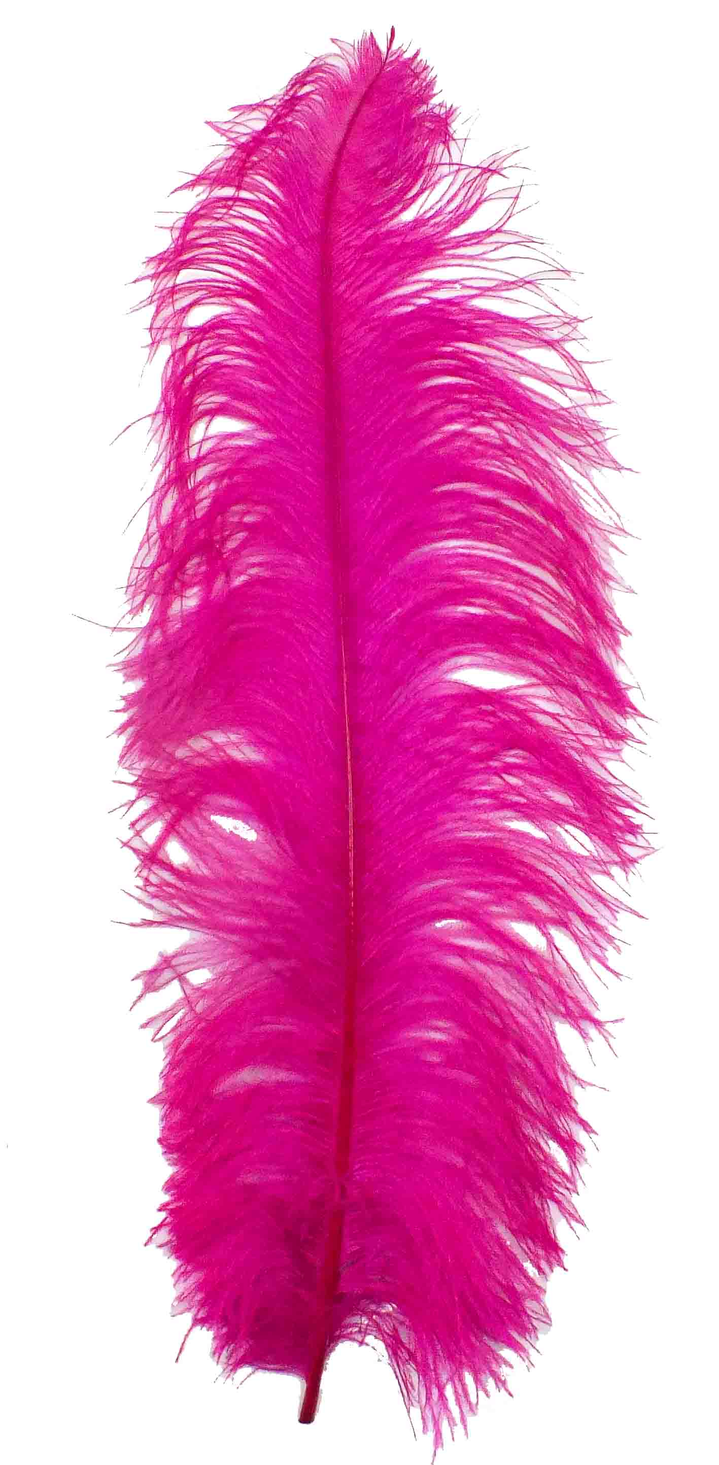 60-65cm Turkey Feathers