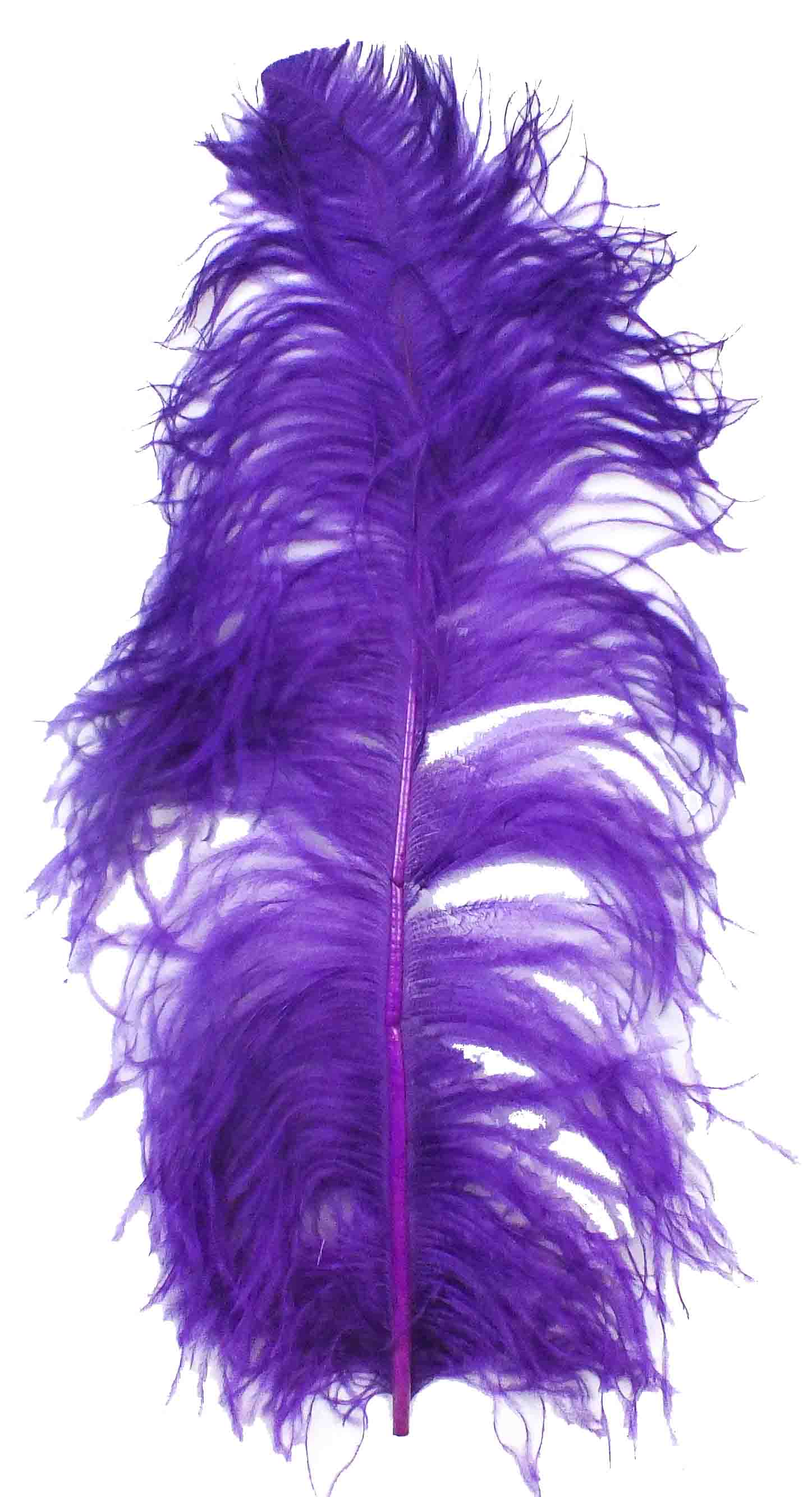 60-65cm Turkey Feathers