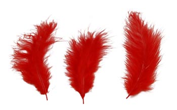 3" - 5" Red Feathers