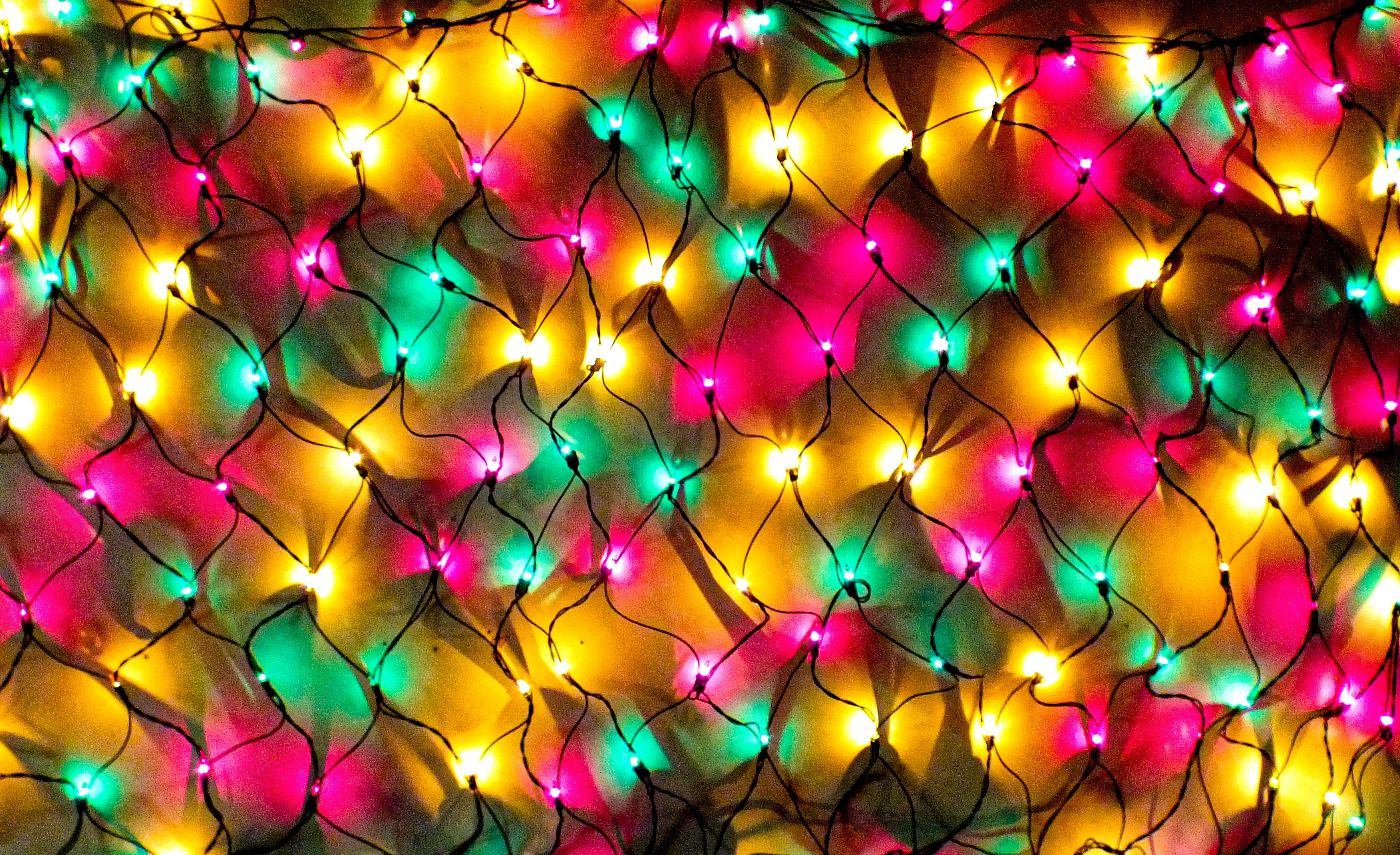 PGG 4 x 6 Net Lights