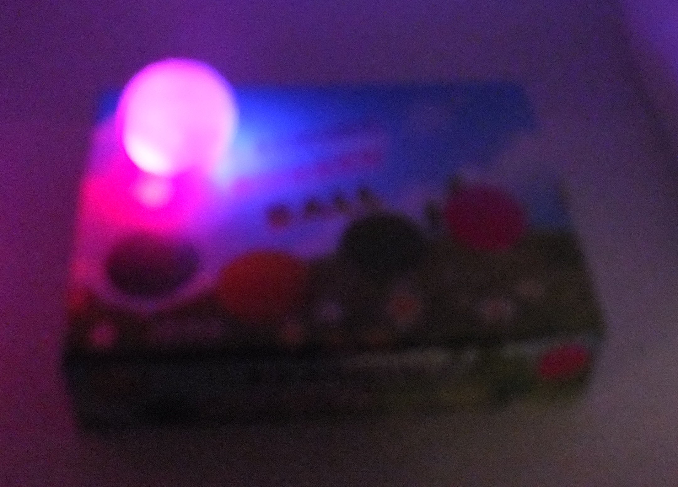 2.5" Light Up Ball with Squeaker