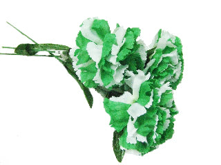 Long Stem Carnations Green & White