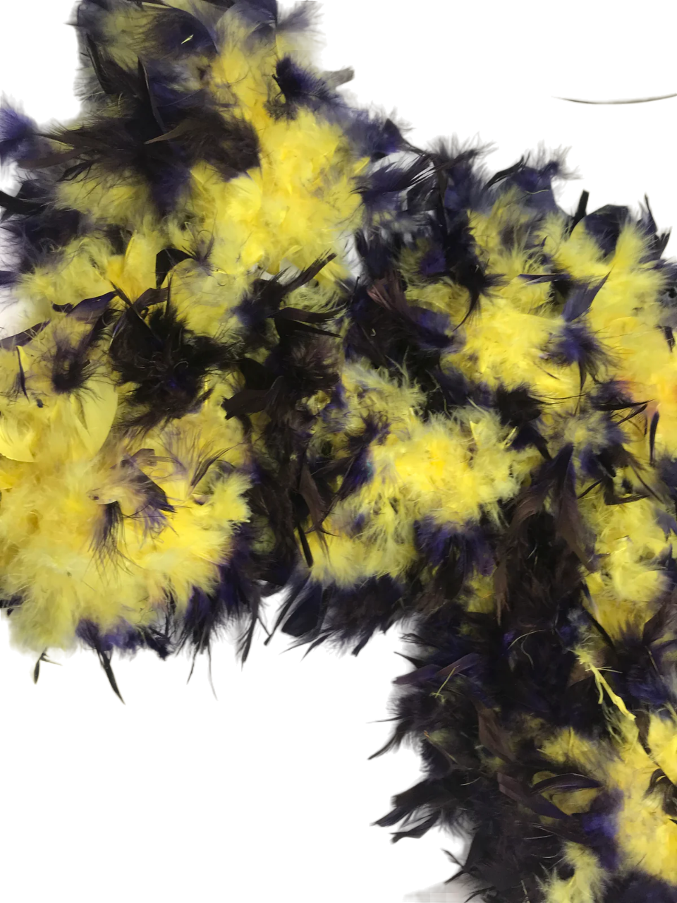 Purple and Yellow Feather Boa