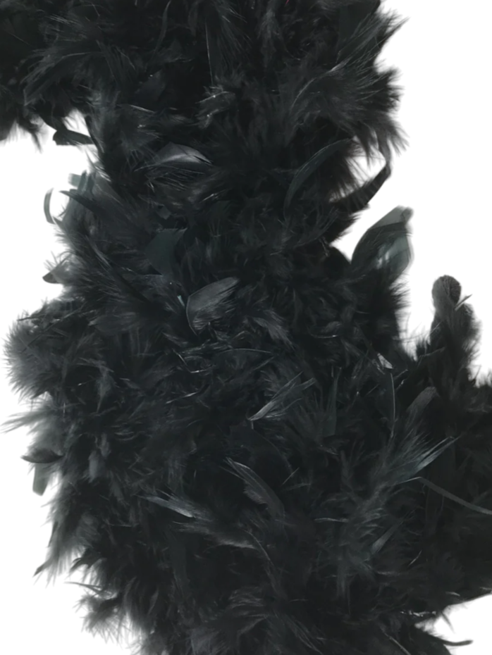 6' Black Feather Boa