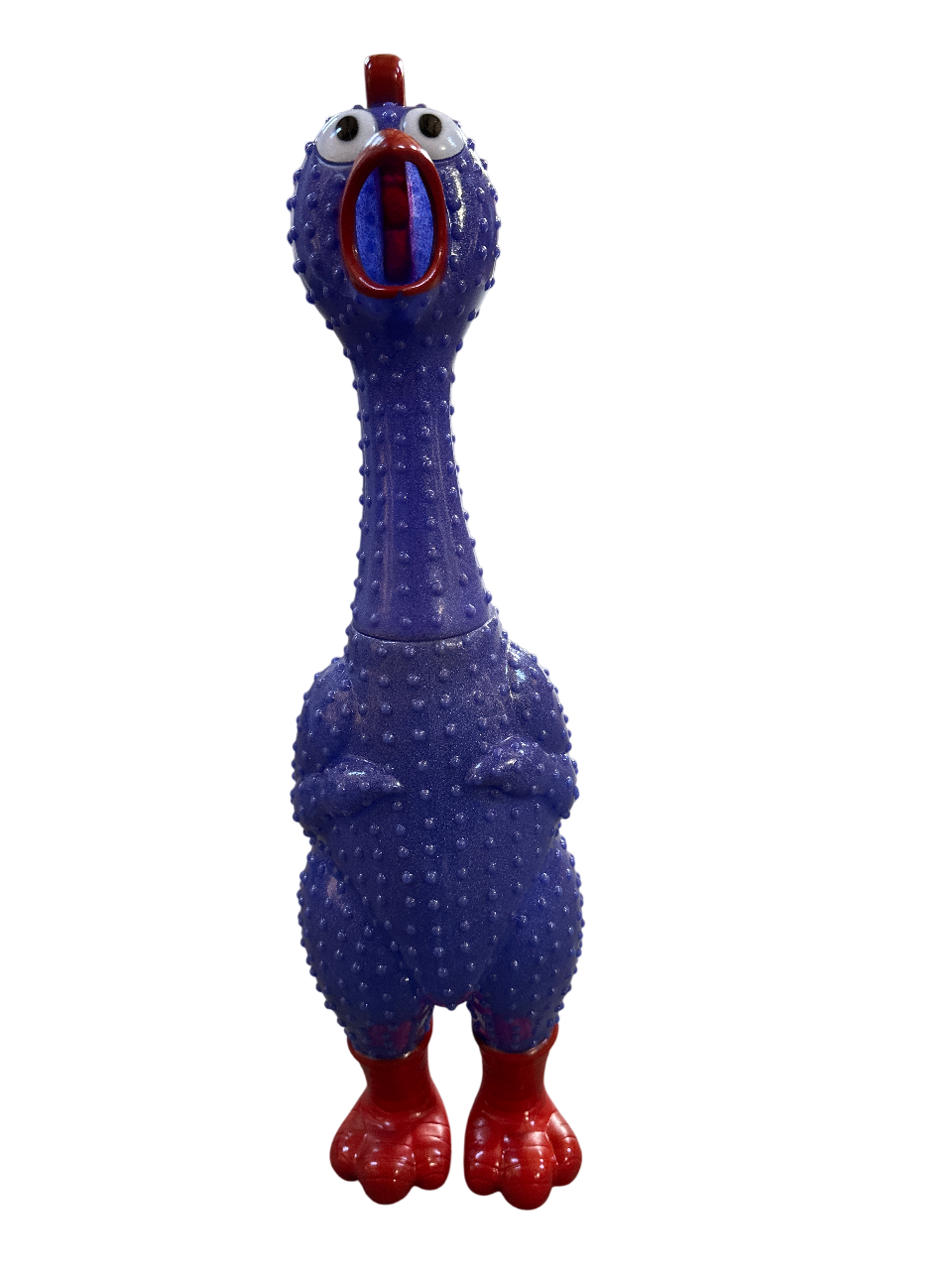 24" Rubber Glitter Chicken pc