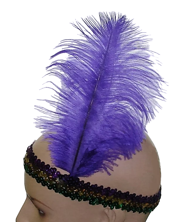 Mardi Gras Sequin Band with Feather