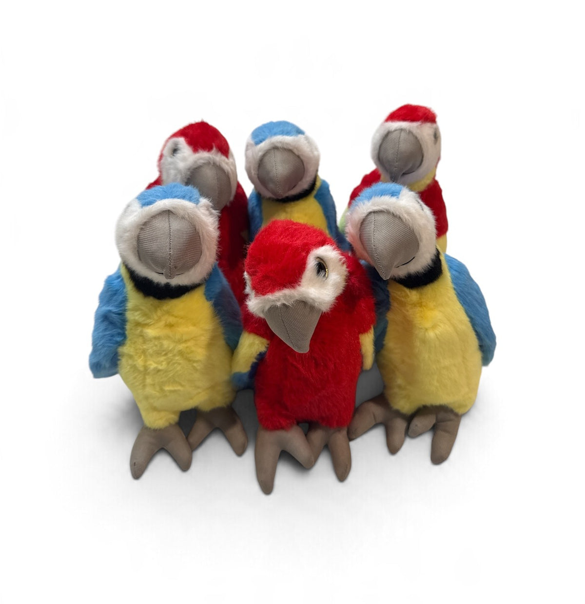 12" Parrot Plush 6pc