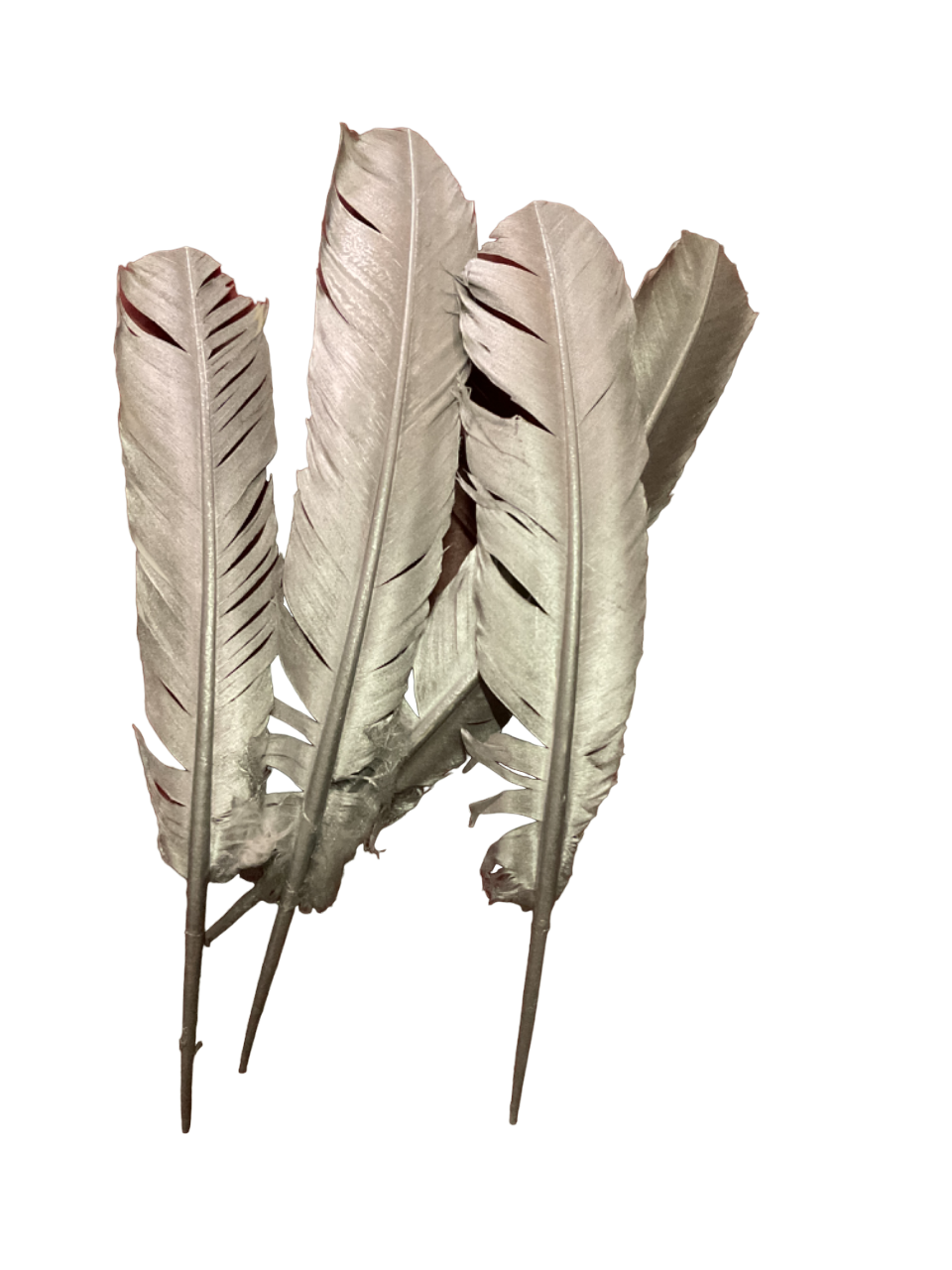 10” Silver Turkey Feather 10 Piece