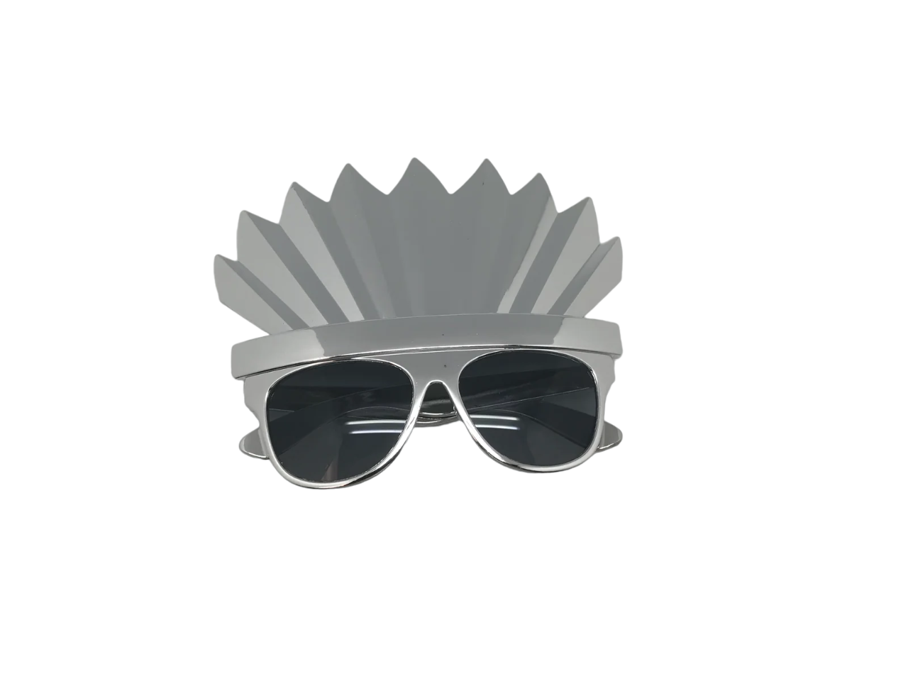 Silver Feather Sunglasses