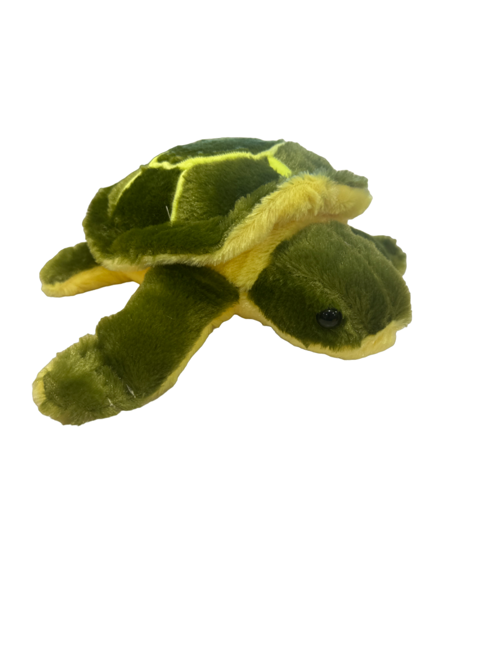 Plush Turtle 6 Piece
