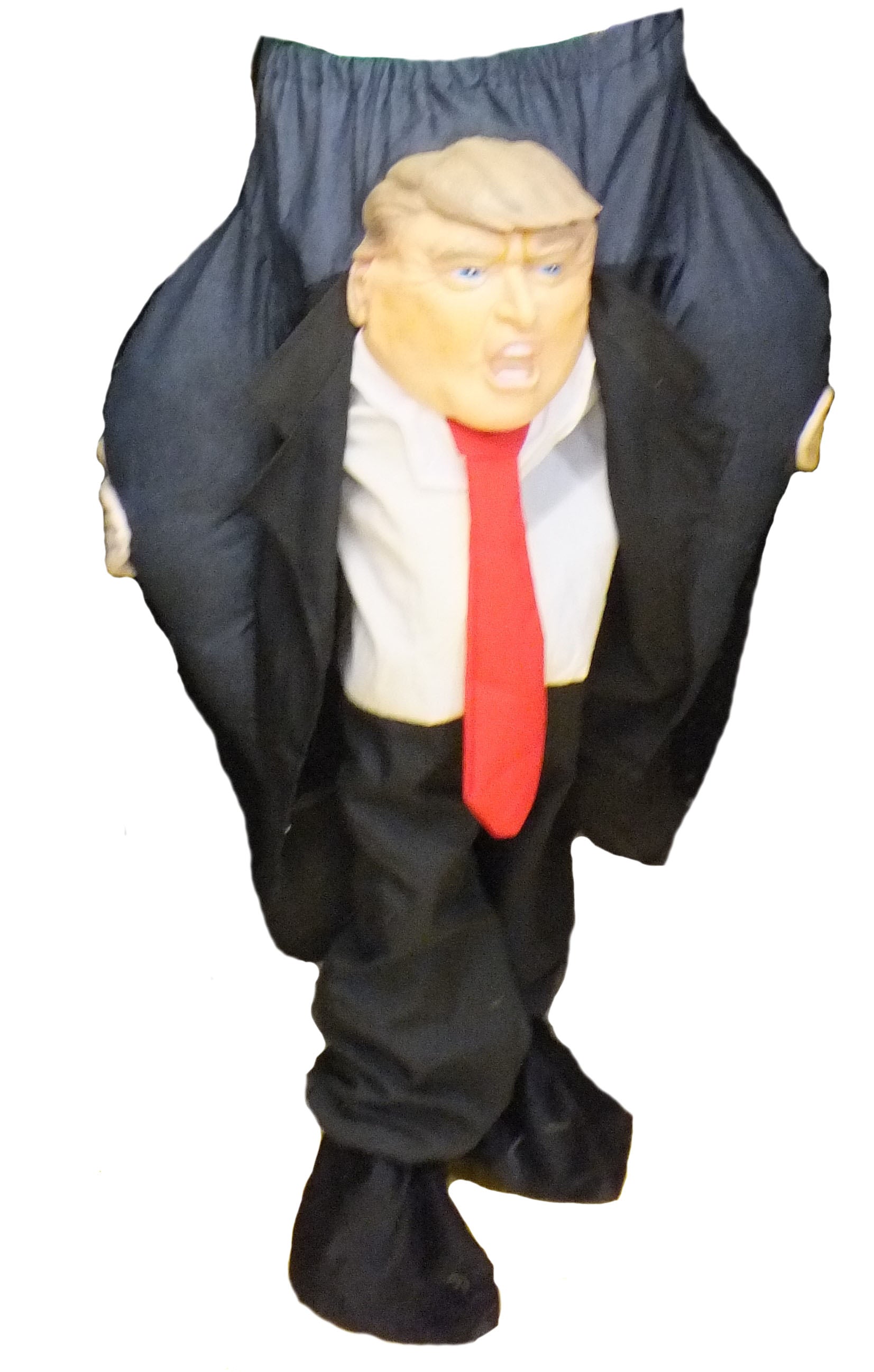 Trump Pants Costume