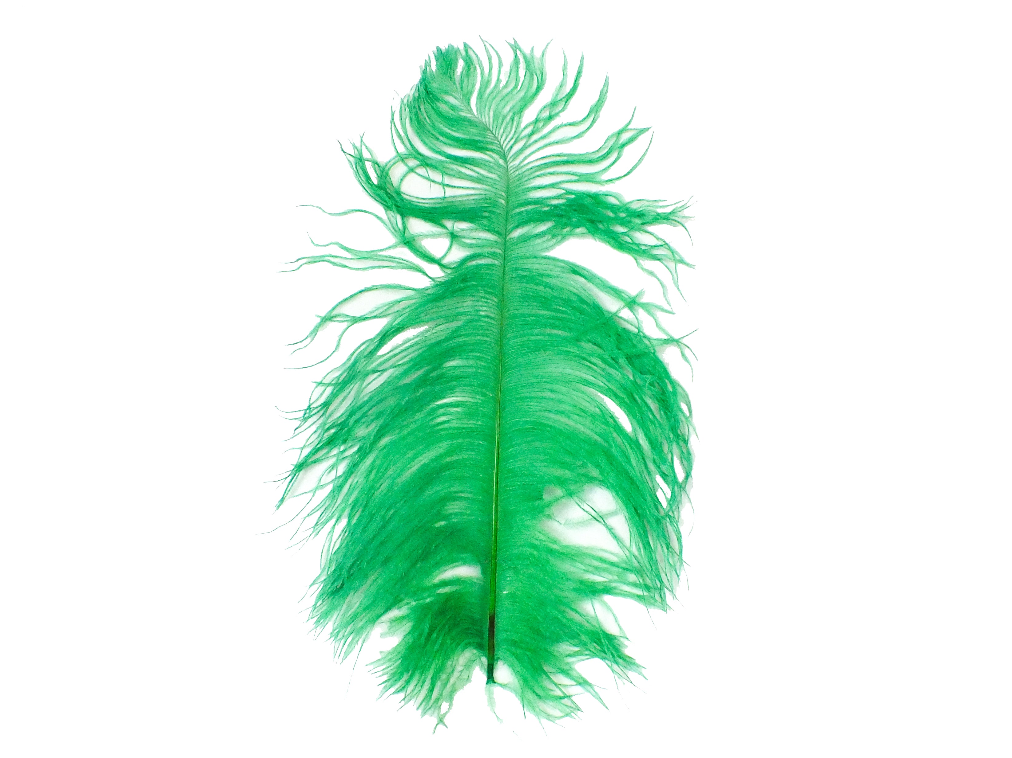 15" Green Feather Plume