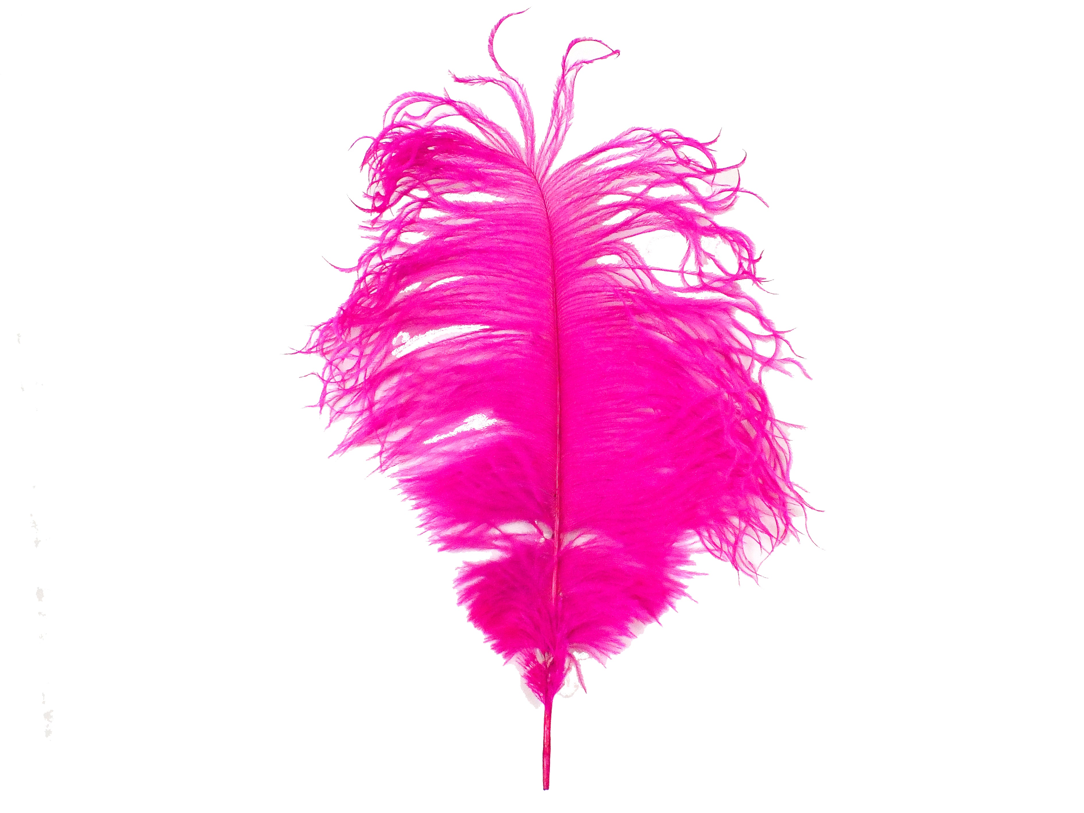 15" Hot Pink Feather Plume
