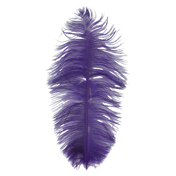 mardi gras feathers 24090625 PNG