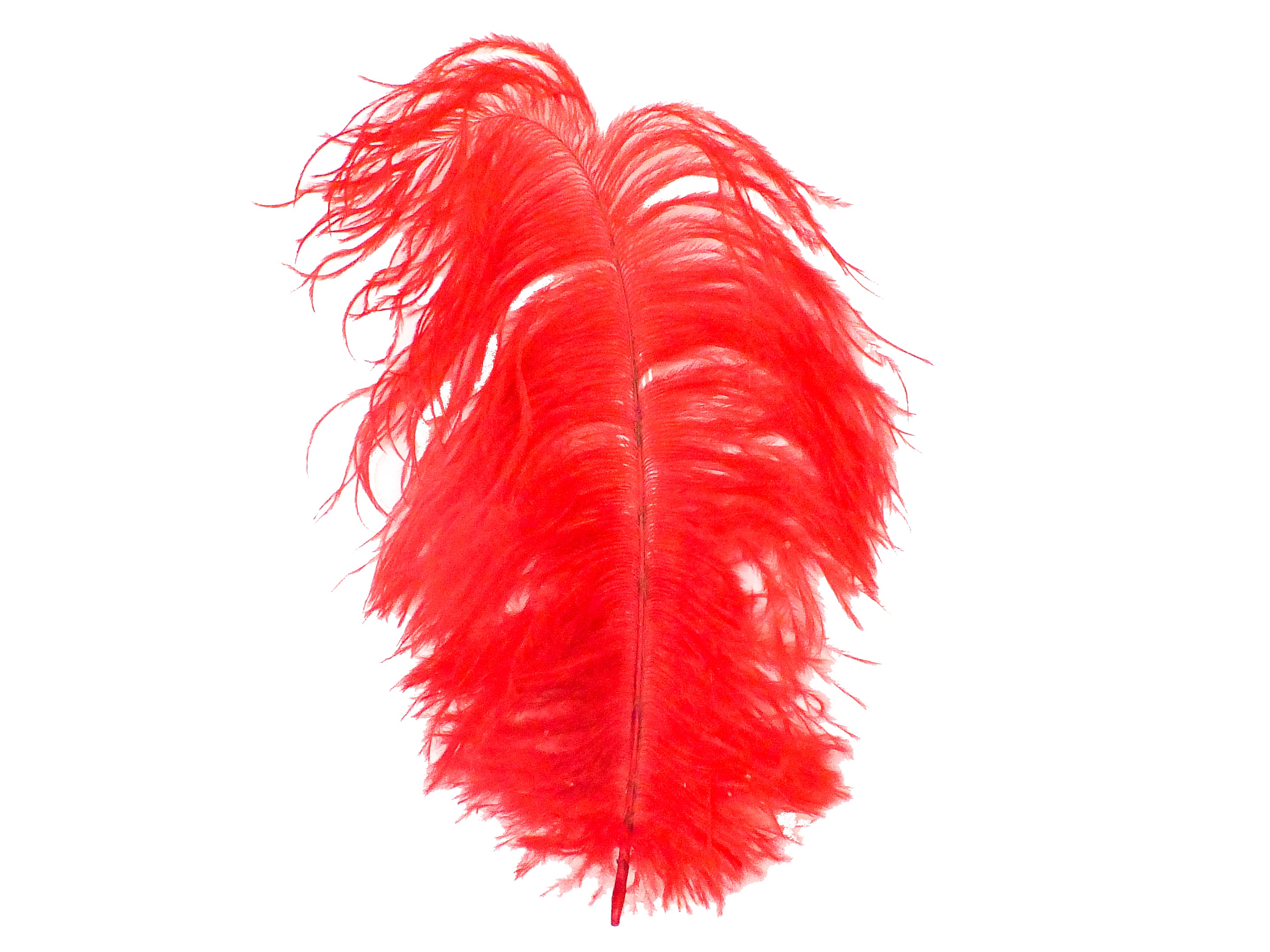 15" Red Feather Plume