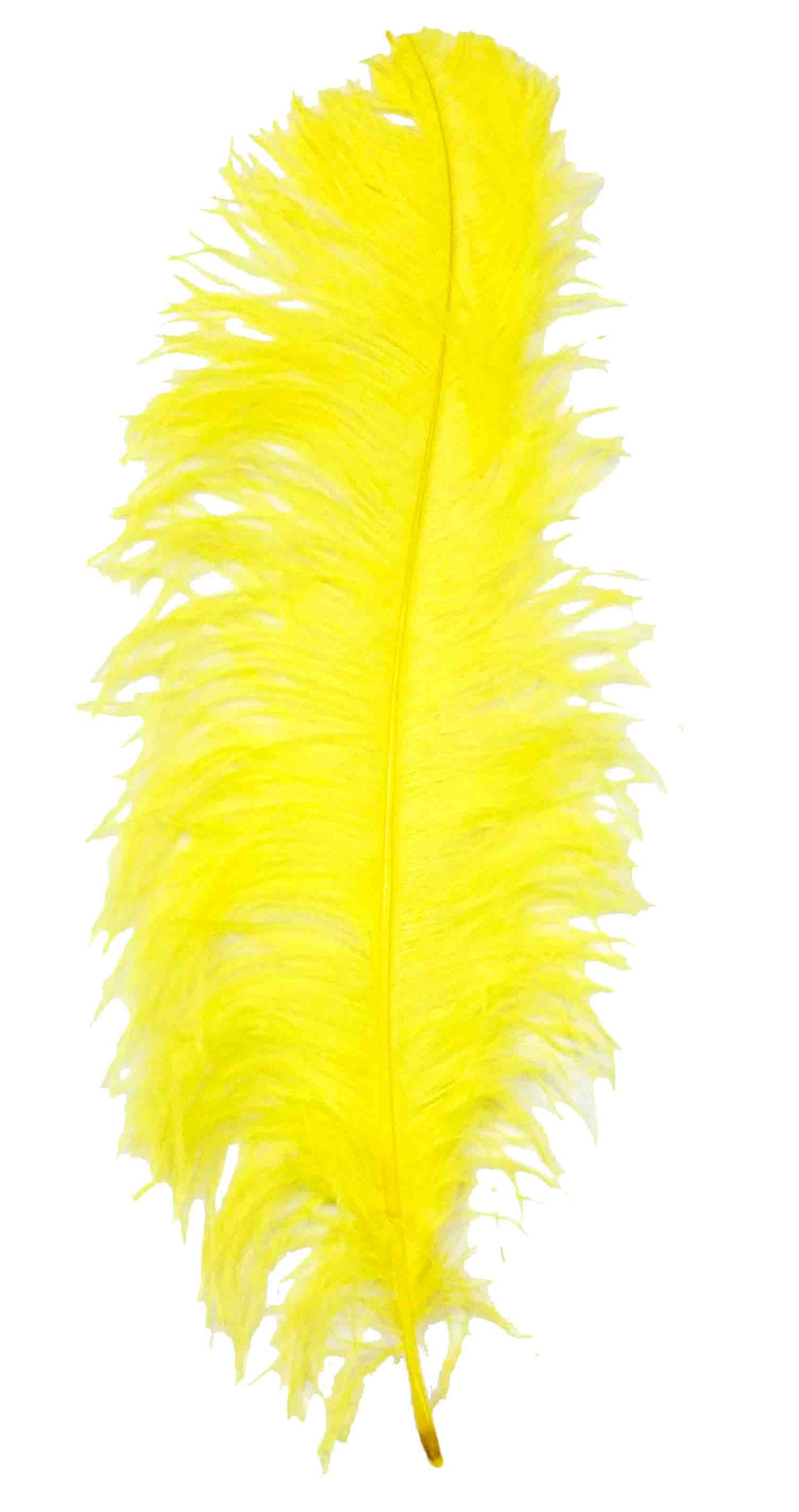 Feathers Turkey 60-65cm