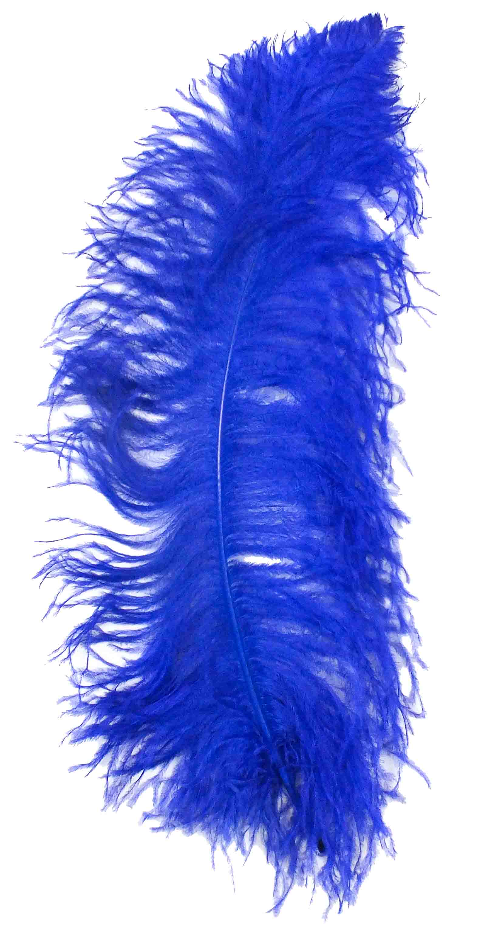 60-65cm Turkey Feathers 