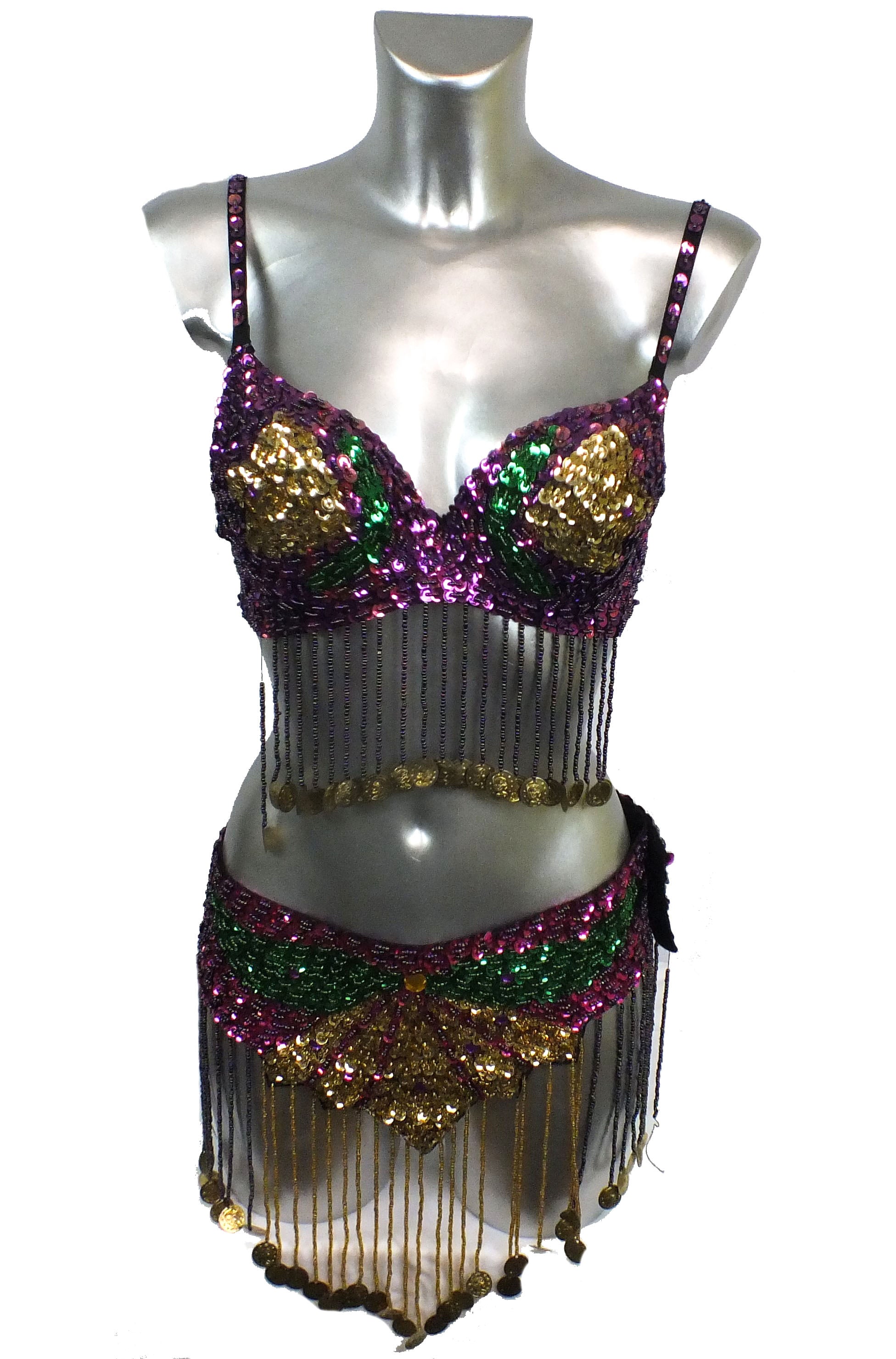 2 pc Sequin Belly Dancing Outfit