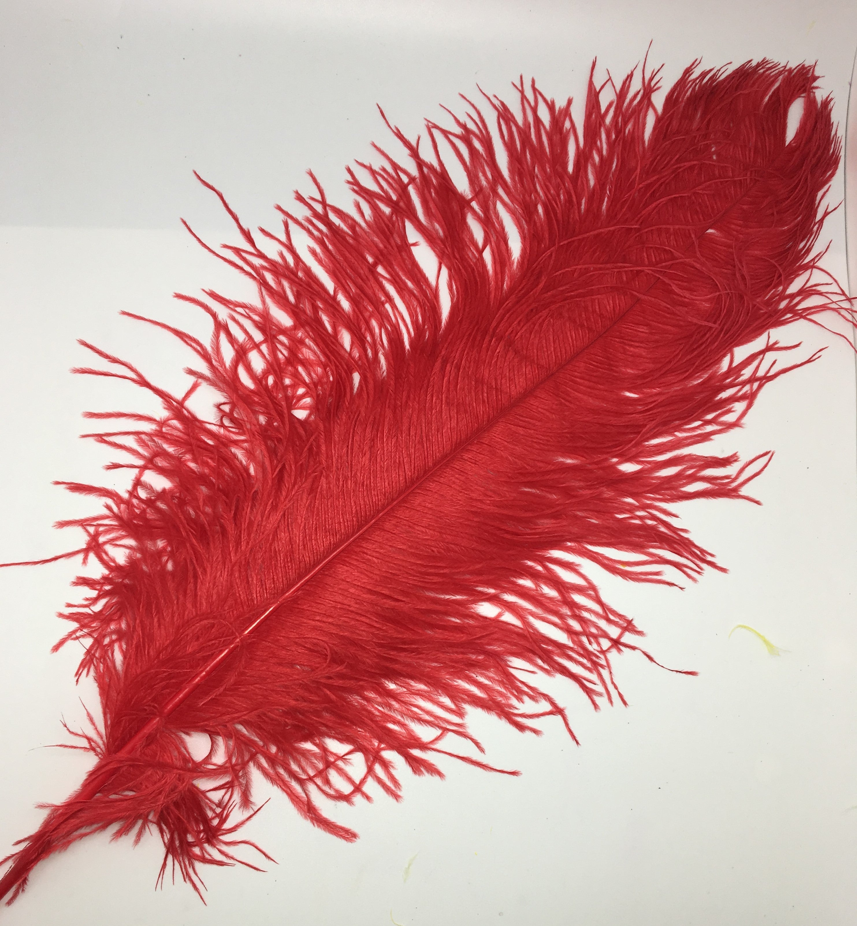 60-65cm Turkey Feathers 